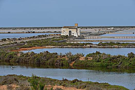盐厂,靠近,伊比萨岛,巴利阿里群岛,西班牙,欧洲