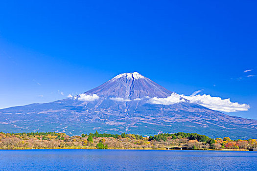 山,富士山,湖,秋叶