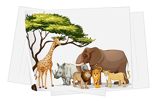 动物,丛林,纸