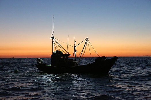跟拍船老大陈祥树出海捕鱼,肥美海鲜的背后是渔民的辛劳