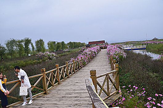 草海,风光