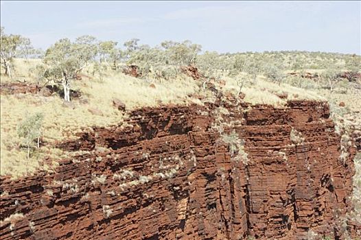 红岩,橡胶树,卡瑞吉尼国家公园,区域,西澳大利亚