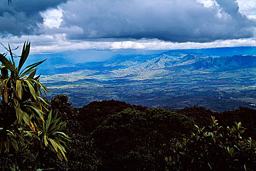 高地,热带森林,山,国家公园,戈罗卡,巴布亚新几内亚