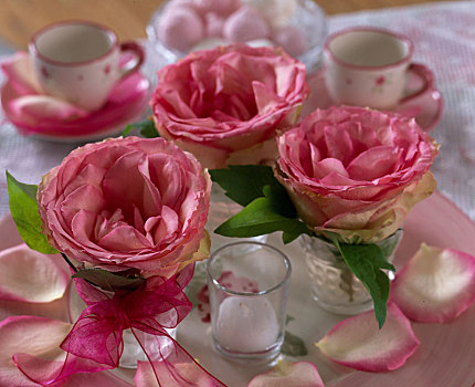 粉色,玫瑰,花,小