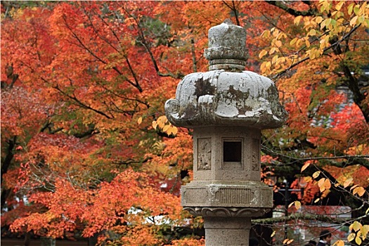 秋叶,庙宇,日本