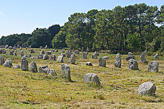 卡赫纳,石头,竖石纪念物,靠近,莫尔比昂省,布列塔尼半岛,法国,欧洲