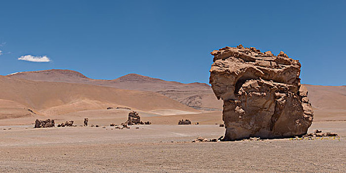 风景,僧侣,盐湖,阿塔卡马沙漠,佩特罗,省,安托法加斯塔大区,智利