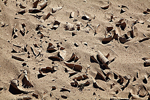 干燥,泥,盐磐,山谷,死亡谷国家公园,莫哈维沙漠,加利福尼亚,美国