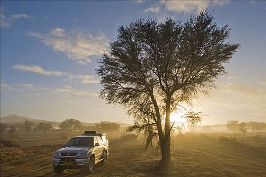 丰田,吉普车,晨雾,荒芜,靠近,索苏维来地区,纳米比亚,非洲