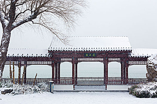玄武湖雪景
