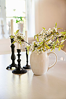 枝条,白花,瓷瓶,烛台,白色背景,桌子