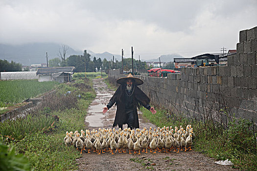 云河古村