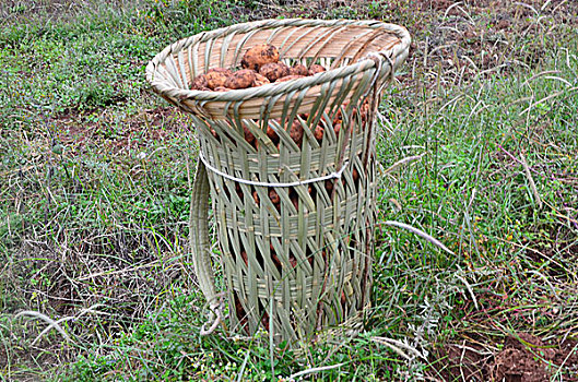 花萝,竹编,篾器,竹器,用具