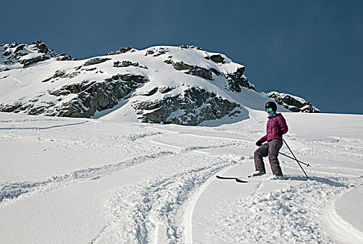 下坡,滑雪者,不列颠哥伦比亚省,加拿大