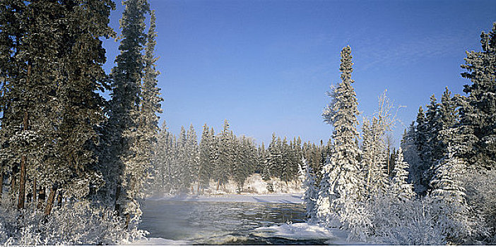 冬景,曼尼托巴,加拿大