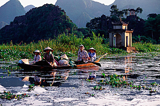 越南,河内,村民,小船