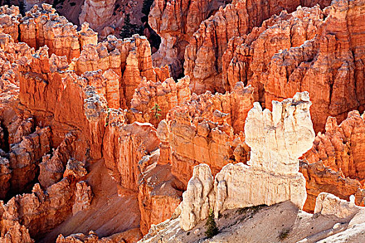 展示,层次,砂岩,怪岩柱,布莱斯峡谷国家公园,犹他,美国