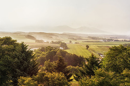 风景,农场