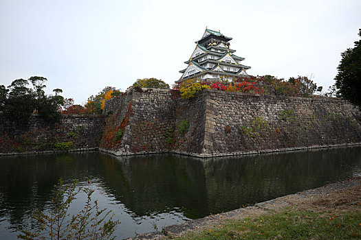 日本大阪城公园