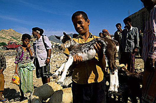 也门,山,区域,乡村,绵羊,市场,男孩