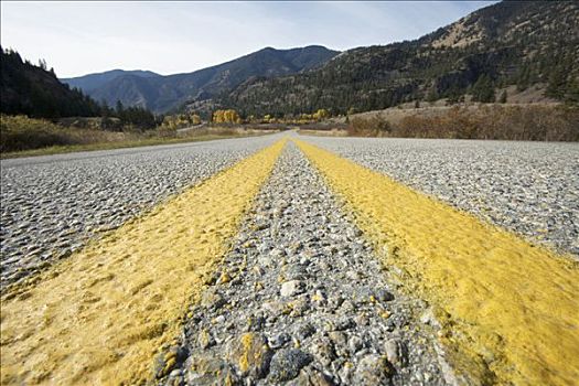 特写,道路,靠近,不列颠哥伦比亚省,加拿大