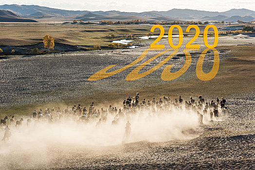 2020新年开始草原上万马奔腾背景