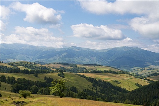 风景,乌克兰,喀尔巴阡山脉