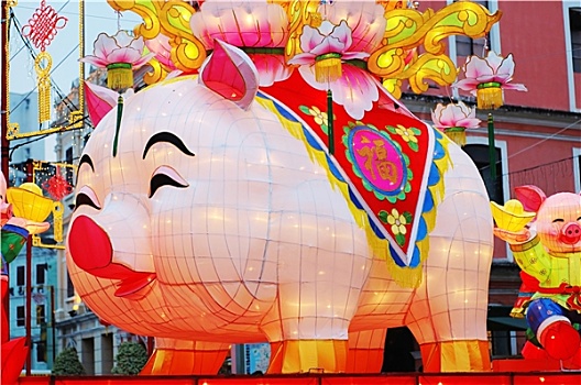 猪,中国,黄道十二宫