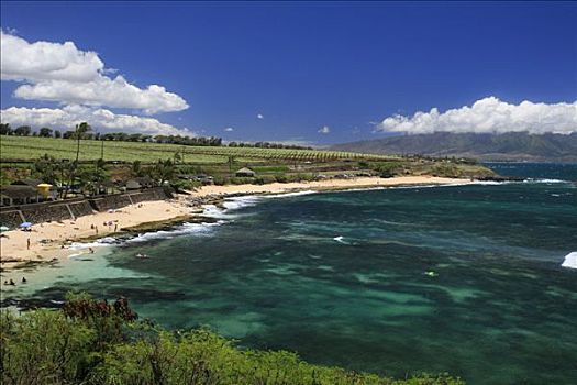 海滩,帆板运动,位置,世界,毛伊岛,夏威夷,美国