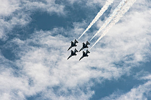 美国空军,雷鸟,飞,排列,大幅,尺寸
