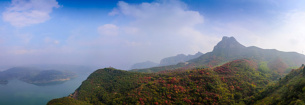 山峰树林