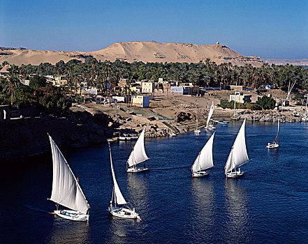 三桅小帆船,尼罗河,象岛,背景,阿斯旺,埃及