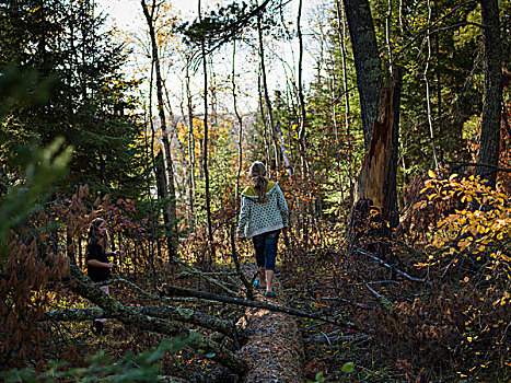 女孩,走,秋天,树,树林,杂乱无章,湖,木头,安大略省,加拿大