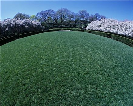 草地,温室,花园,中央公园,曼哈顿,纽约,美国