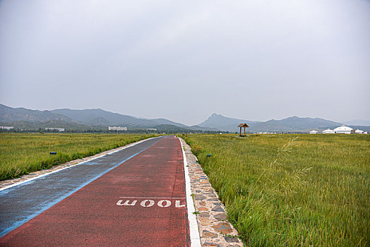 内蒙古自治区呼和浩特市敕勒川草原风光