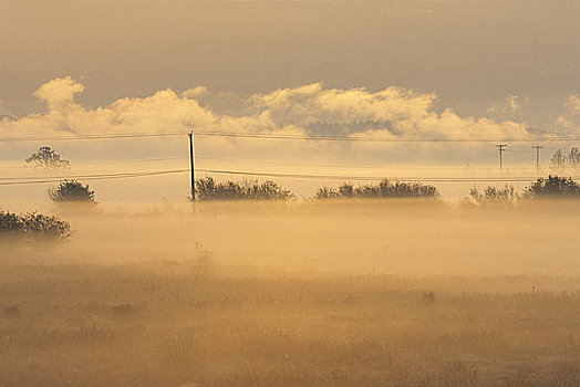 地点,遮盖,雾,日出,山谷,不列颠哥伦比亚省,加拿大