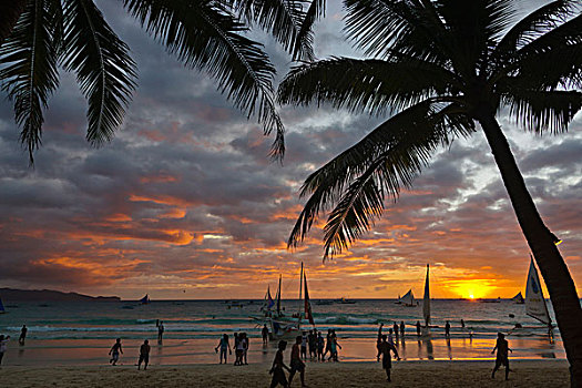 海滩,棕榈树,日落,长滩岛,菲律宾