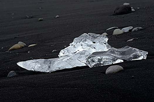 海滨,浮冰,旁侧,火山岩,南方,区域,冰岛,欧洲