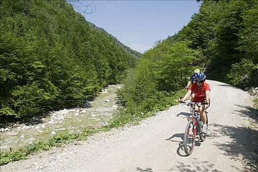 骑自行车,道路,国家公园,上奥地利州,欧洲