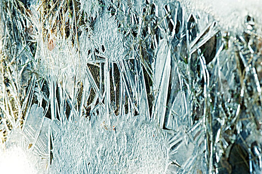 冰,植被,全画幅
