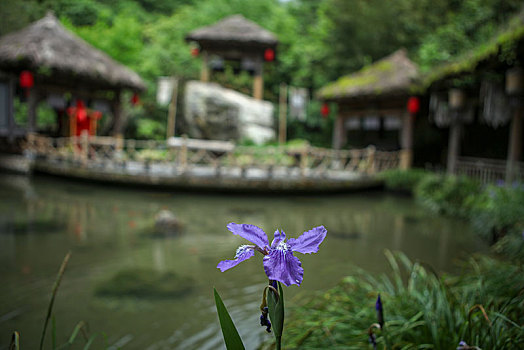 神农架,天生桥,风景,景点,旅游,高山,瀑布,河流,神秘,树木,植被,石头,鄂西,奇石,峡谷,壮观