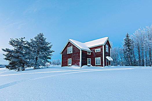 黃昏,木屋,北方针叶林,针叶林带,遮盖,雪,诺尔博滕县,拉普兰,瑞典