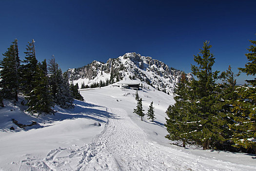 风景,雪,徒步旅行,山,车站,坎彭完特山,缆车,齐姆高,上巴伐利亚,德国南部