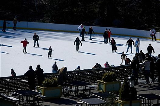 人群,滑冰,滑冰场,中央公园,曼哈顿,纽约,美国