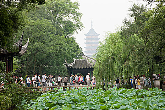 花园,苏州,江苏,中国