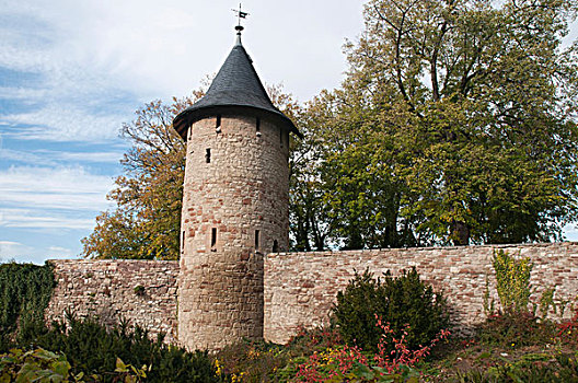 城墙,塔,哈尔茨山,区域,萨克森安哈尔特,德国,欧洲