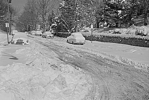 美国,宾夕法尼亚,道路,积雪