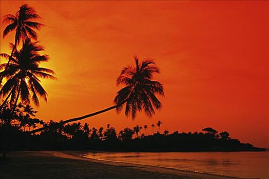 印度尼西亚,海滩,日落