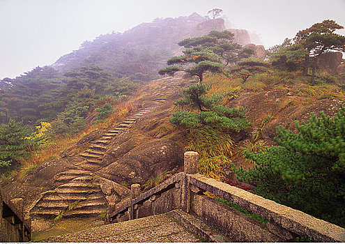 楼梯,桥,雾,黄山,安徽,中国