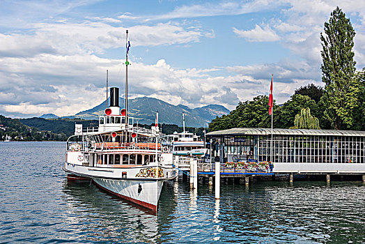 旅游,湖,琉森湖,瑞士